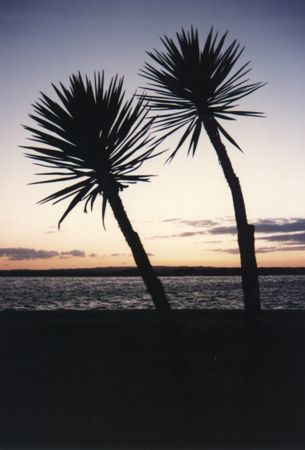 Sunset over Portugal